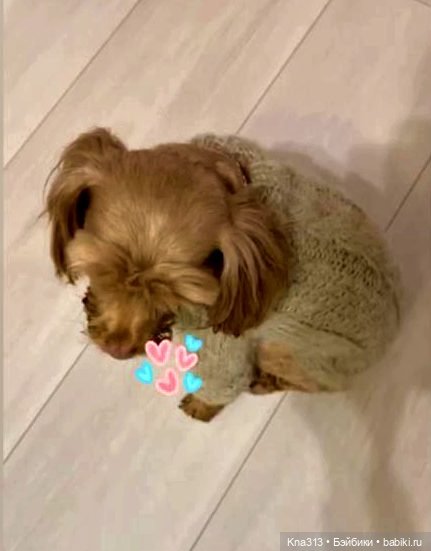 Одеть друга — Другие хобби и увлечения: сад (фото 5)