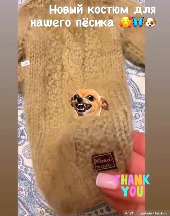 Одеть друга — Другие хобби и увлечения: сад (фото 6)