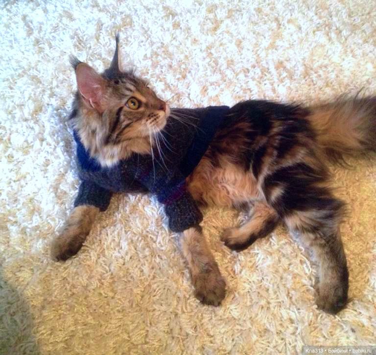 Одеть друга — Другие хобби и увлечения: сад (фото 8)