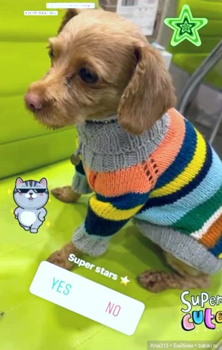 Одеть друга — Другие хобби и увлечения: сад