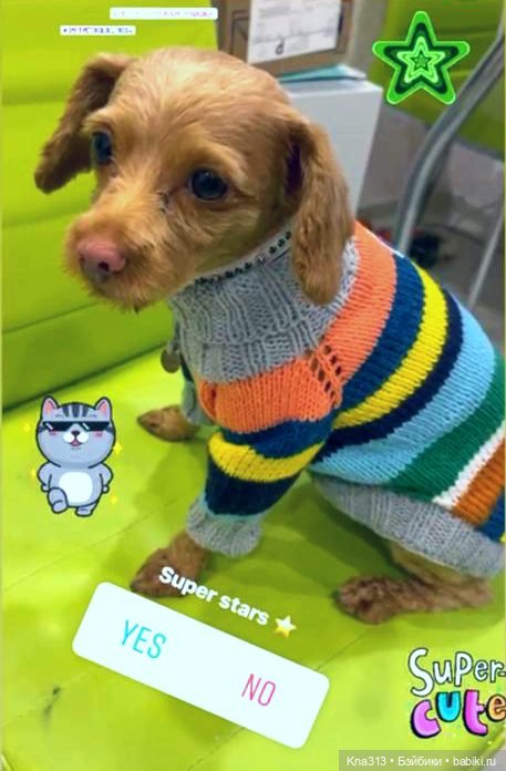 Одеть друга — Другие хобби и увлечения: сад