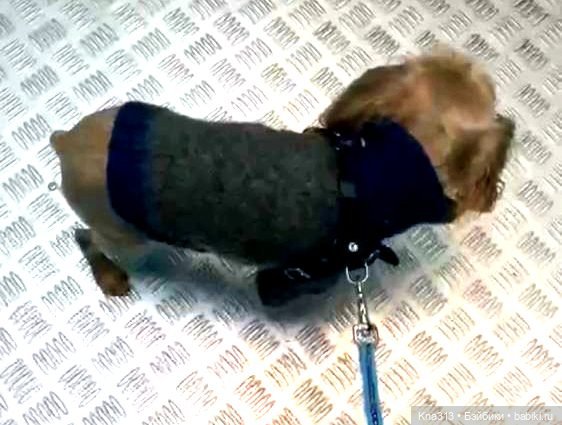 Одеть друга — Другие хобби и увлечения: сад