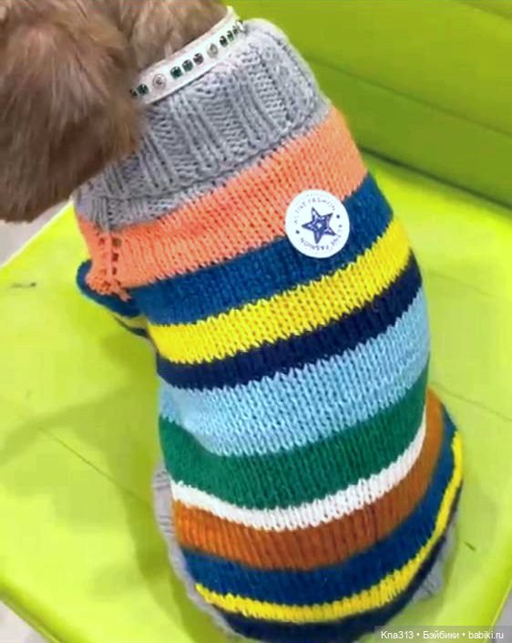 Одеть друга — Другие хобби и увлечения: сад