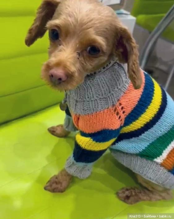 Одеть друга — Другие хобби и увлечения: сад