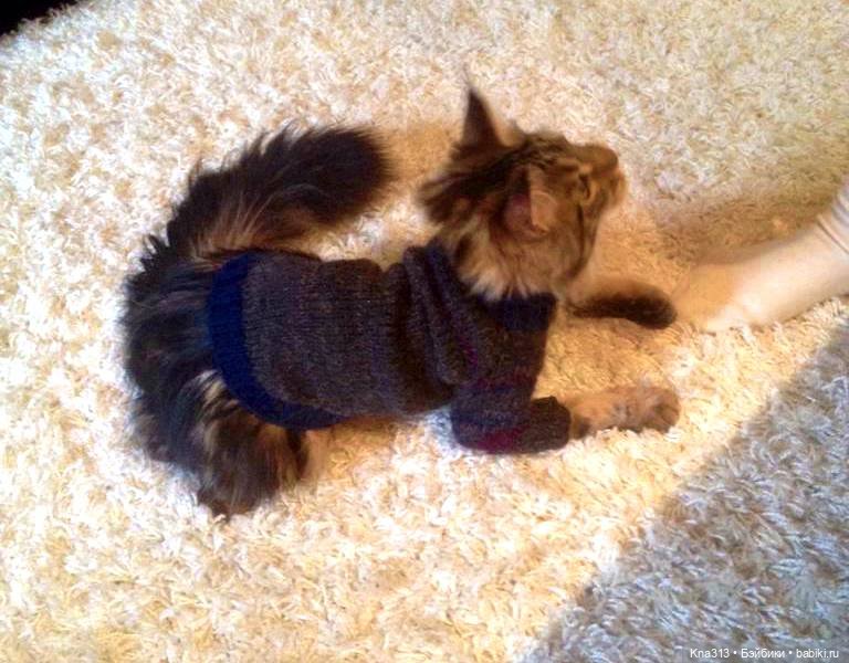 Одеть друга — Другие хобби и увлечения: сад (фото 9)