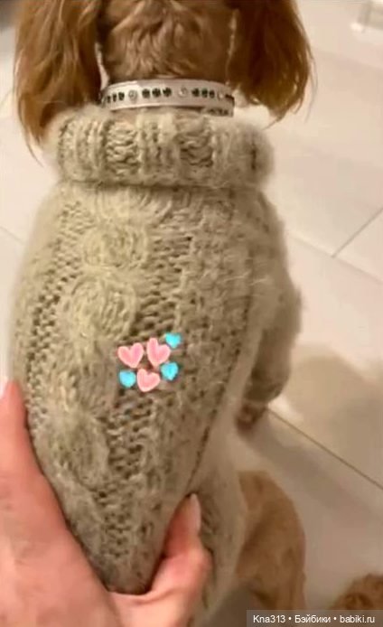 Одеть друга — Другие хобби и увлечения: сад (фото 7)