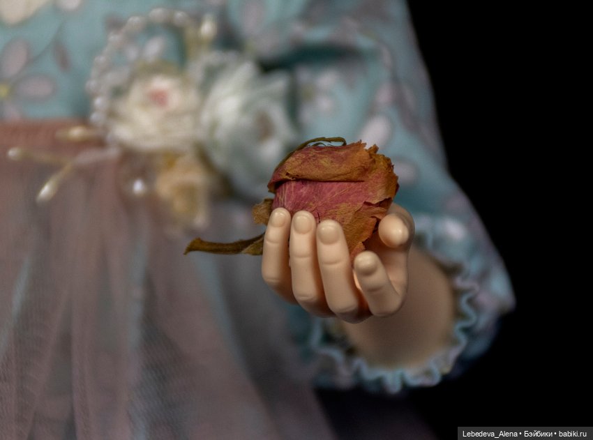 Принцесса Роза — Куклы Dollshe Craft (Доллше): BJD (БЖД) (фото 2)