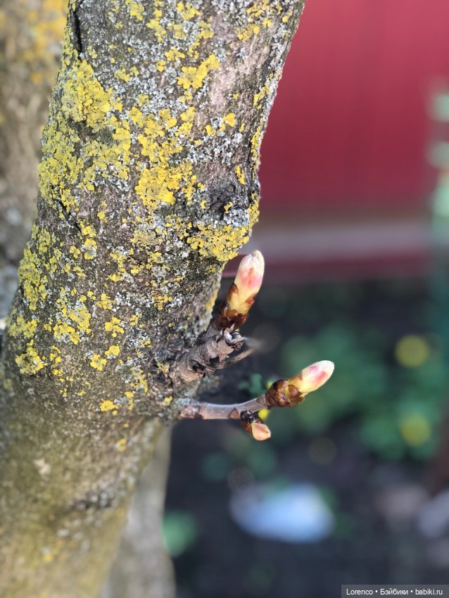 Куклы Nines d'Onil (Нинес): Миа (Mia)