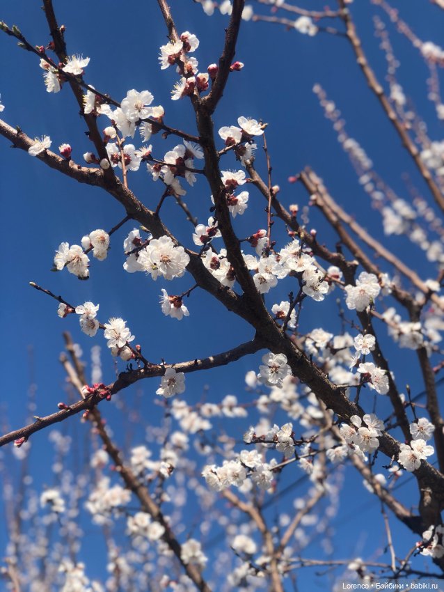 Куклы Nines d'Onil (Нинес): Миа (Mia) (фото 4)