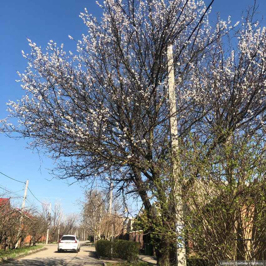 Куклы Nines d'Onil (Нинес): Миа (Mia)