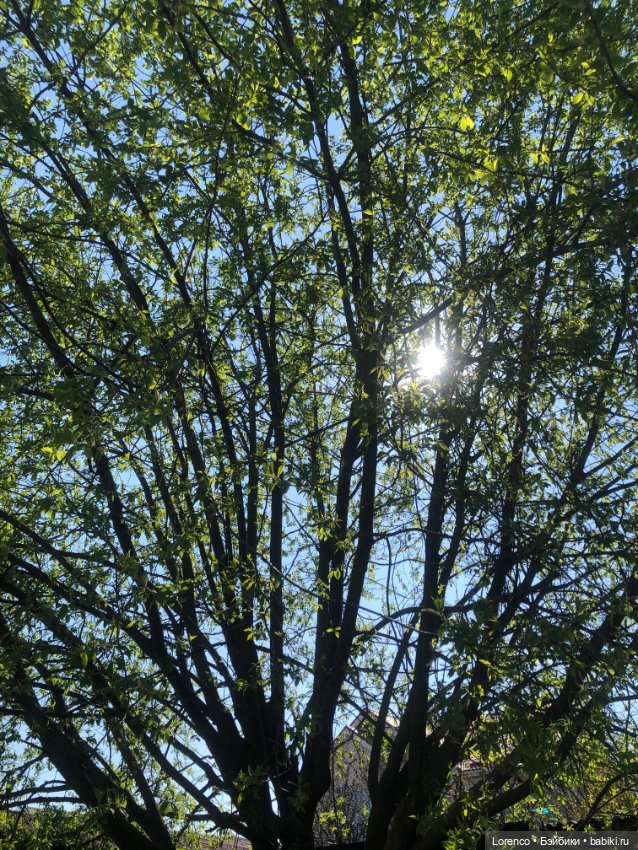 Куклы Nines d'Onil (Нинес): Миа (Mia) (фото 8)