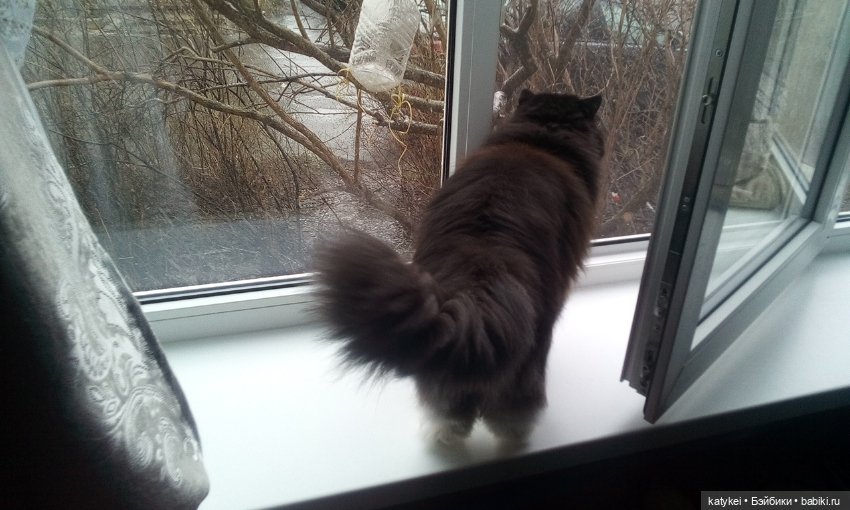 День Земли — Болталка и разговоры обо всем: жизнь (фото 4)