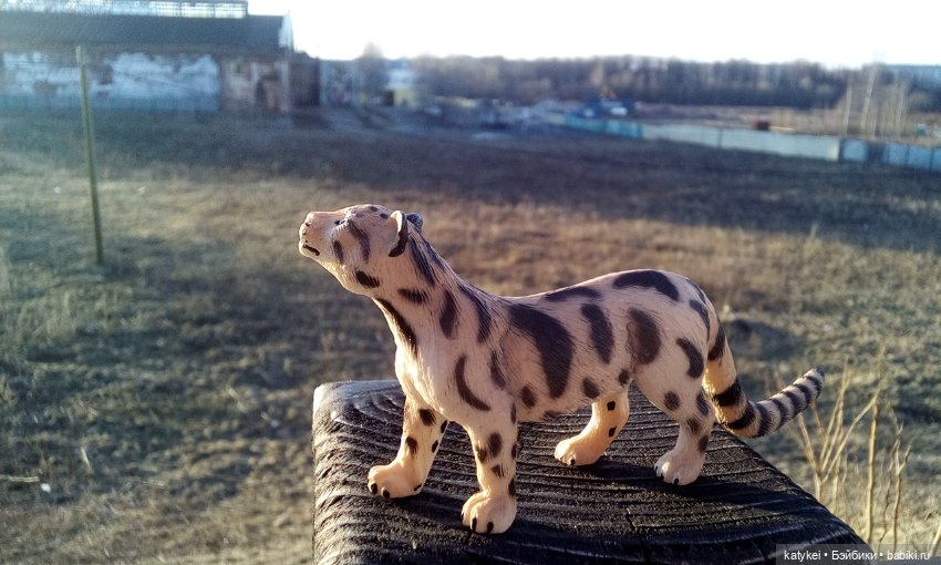 День Земли — Болталка и разговоры обо всем: жизнь