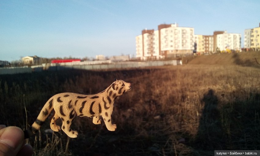 День Земли — Болталка и разговоры обо всем: жизнь