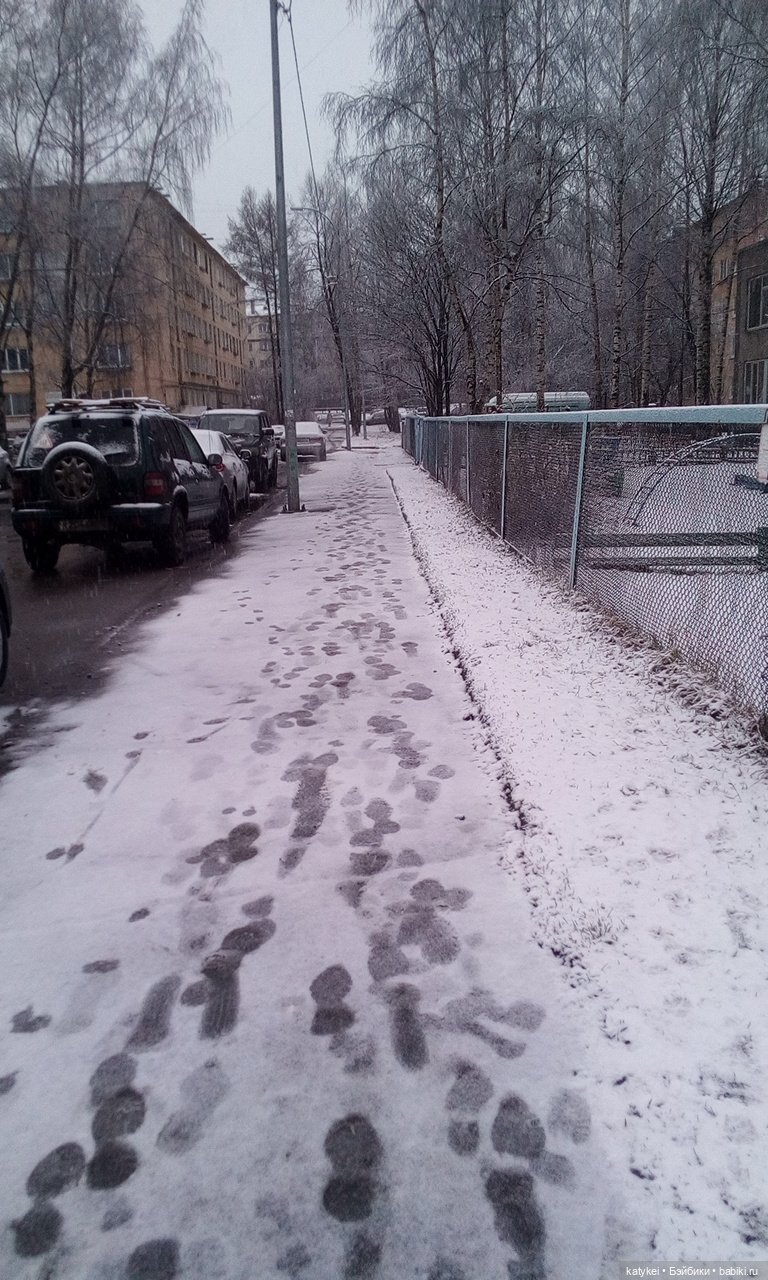 День Земли — Болталка и разговоры обо всем: жизнь (фото 3)