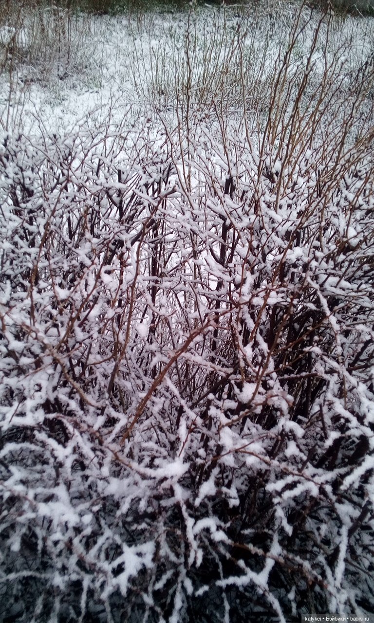 День Земли — Болталка и разговоры обо всем: жизнь (фото 2)