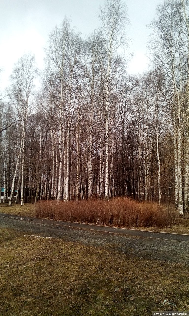 День Земли — Болталка и разговоры обо всем: жизнь