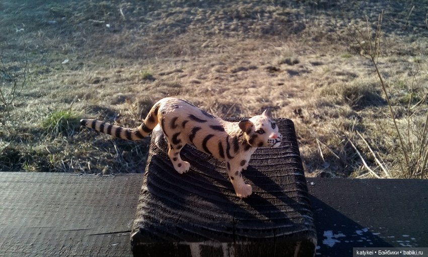 День Земли — Болталка и разговоры обо всем: жизнь