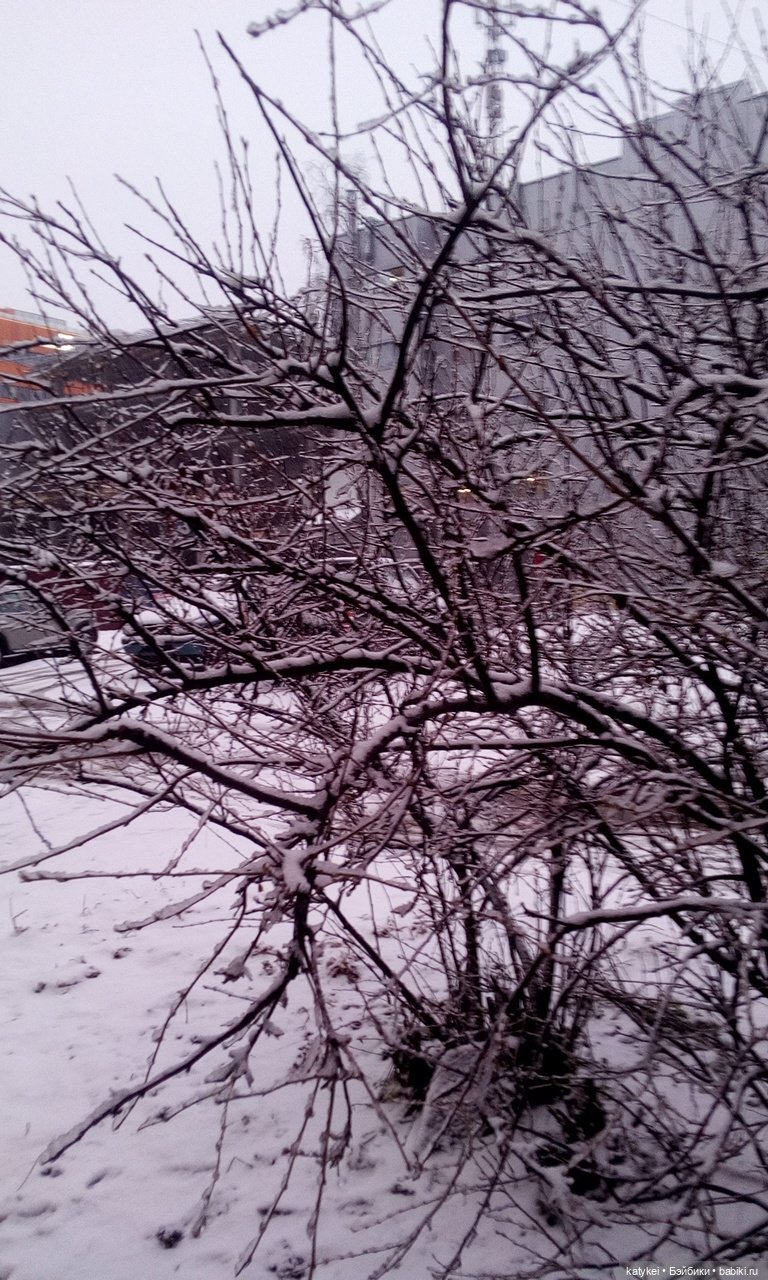 День Земли — Болталка и разговоры обо всем: жизнь