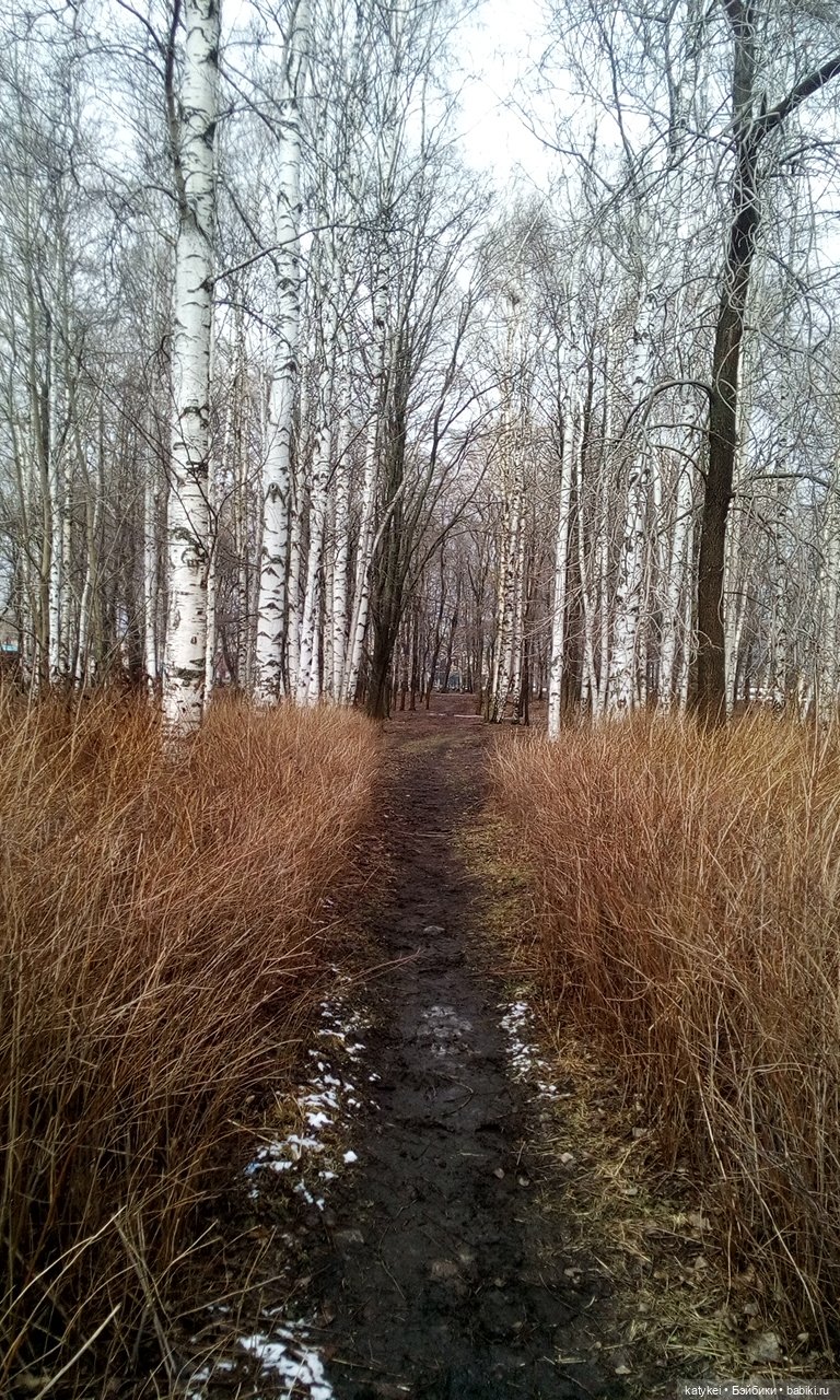 День Земли — Болталка и разговоры обо всем: жизнь