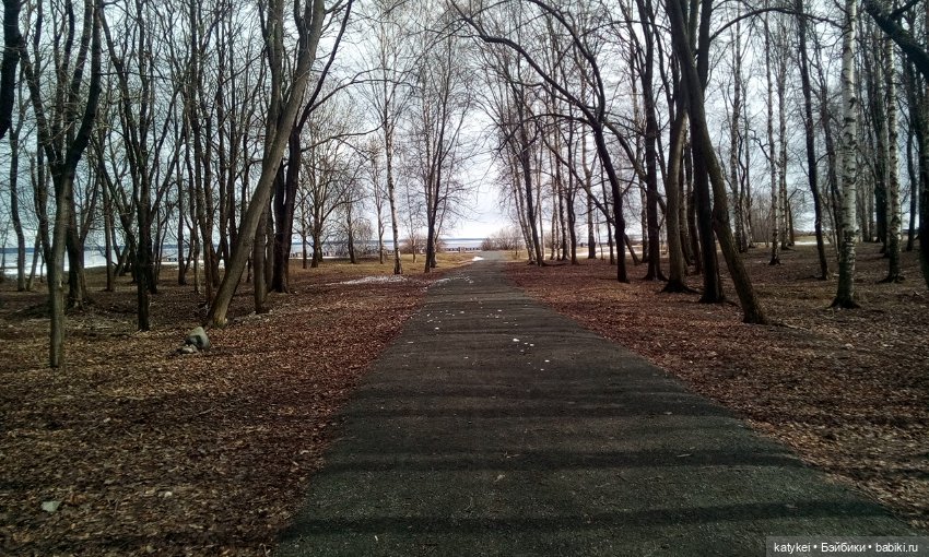 День Земли — Болталка и разговоры обо всем: жизнь (фото 10)