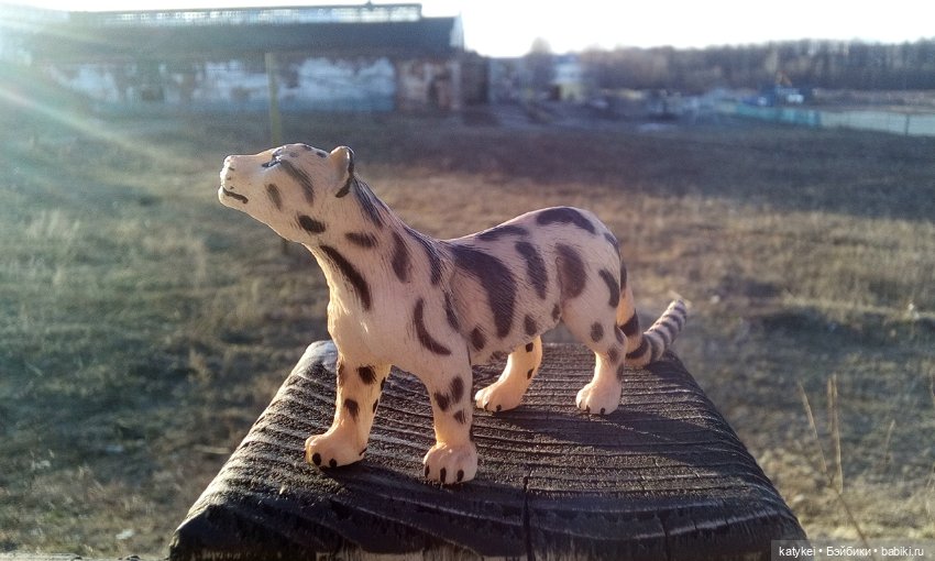 День Земли — Болталка и разговоры обо всем: жизнь