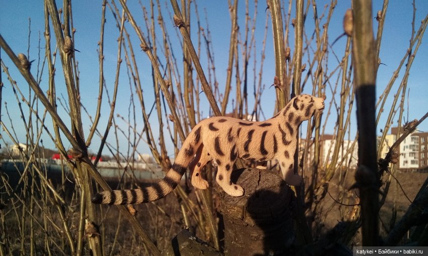 День Земли — Болталка и разговоры обо всем: жизнь