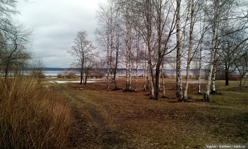 День Земли — Болталка и разговоры обо всем: жизнь