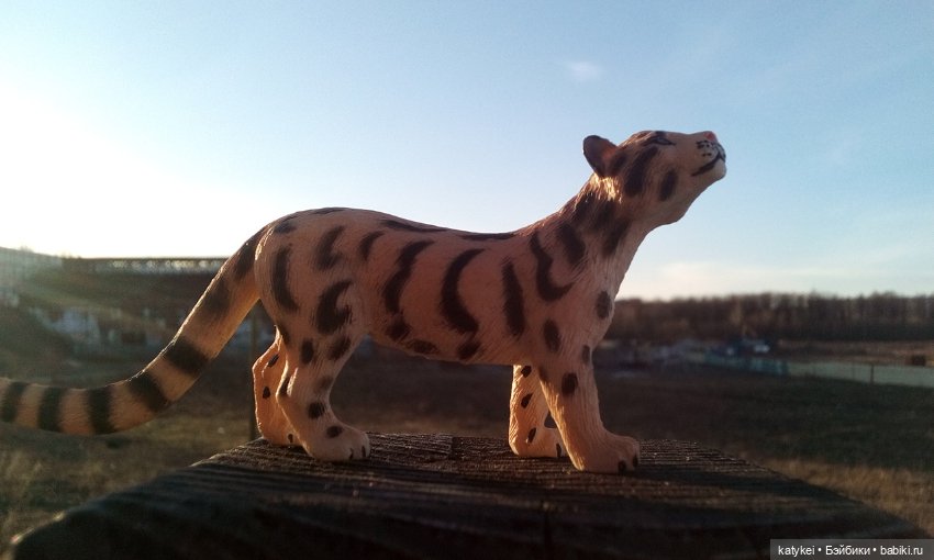 День Земли — Болталка и разговоры обо всем: жизнь