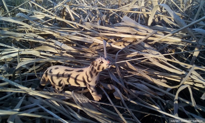 День Земли — Болталка и разговоры обо всем: жизнь