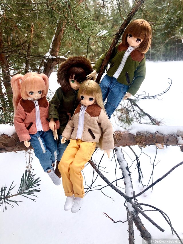 Зимняя прогулка азонок и немного информации о персонажах