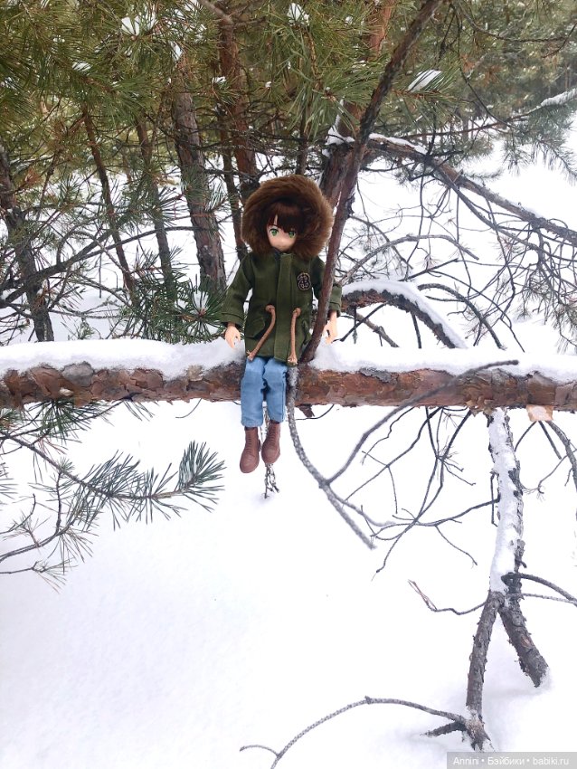 Зимняя прогулка азонок и немного информации о персонажах