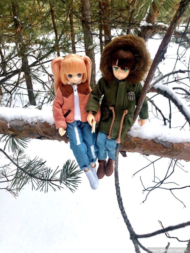 Зимняя прогулка азонок и немного информации о персонажах