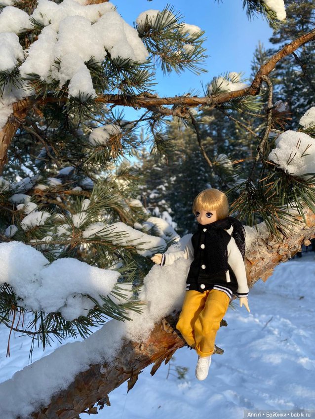 Зимняя прогулка азонок и немного информации о персонажах