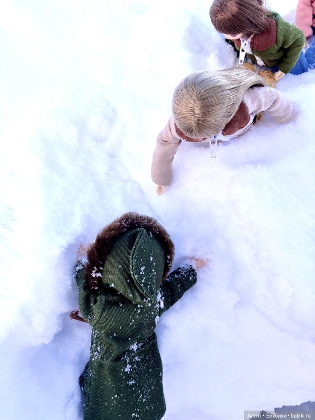 Зимняя прогулка азонок и немного информации о персонажах