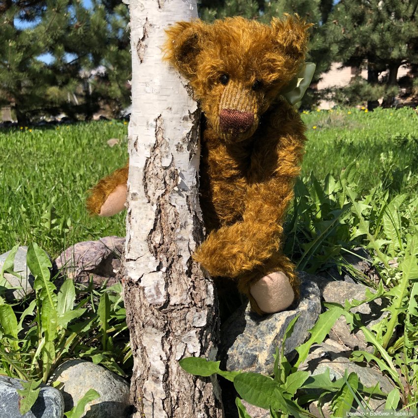 Знакомьтесь, Гюнтер — Домашние фото авторских игрушек: Тедди