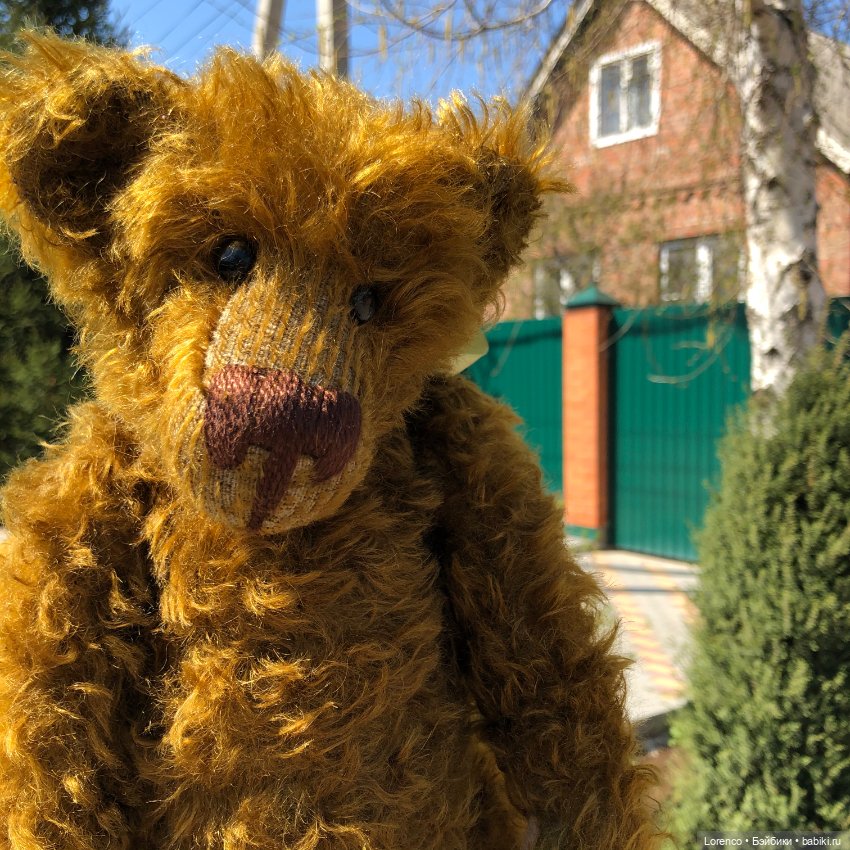 Знакомьтесь, Гюнтер — Домашние фото авторских игрушек: Тедди