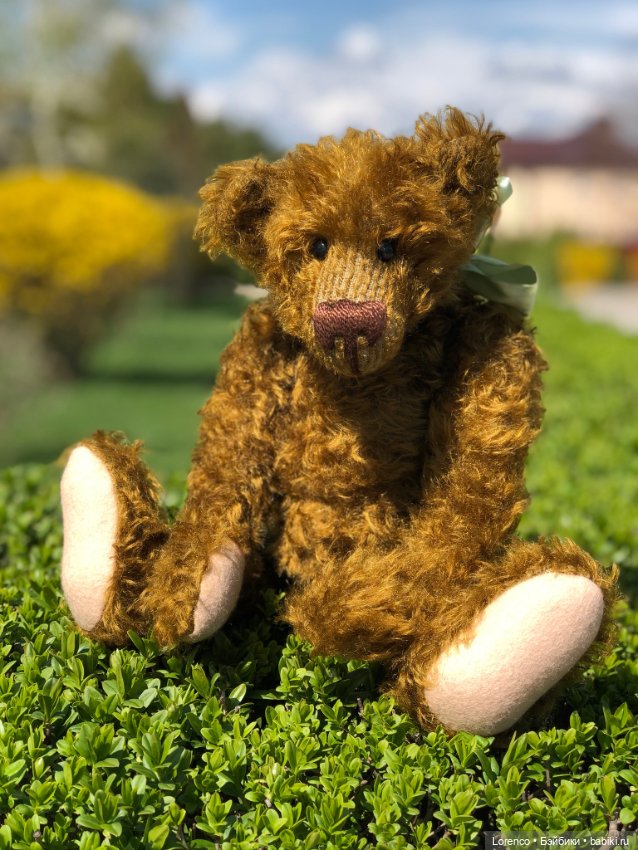 Знакомьтесь, Гюнтер — Домашние фото авторских игрушек: Тедди