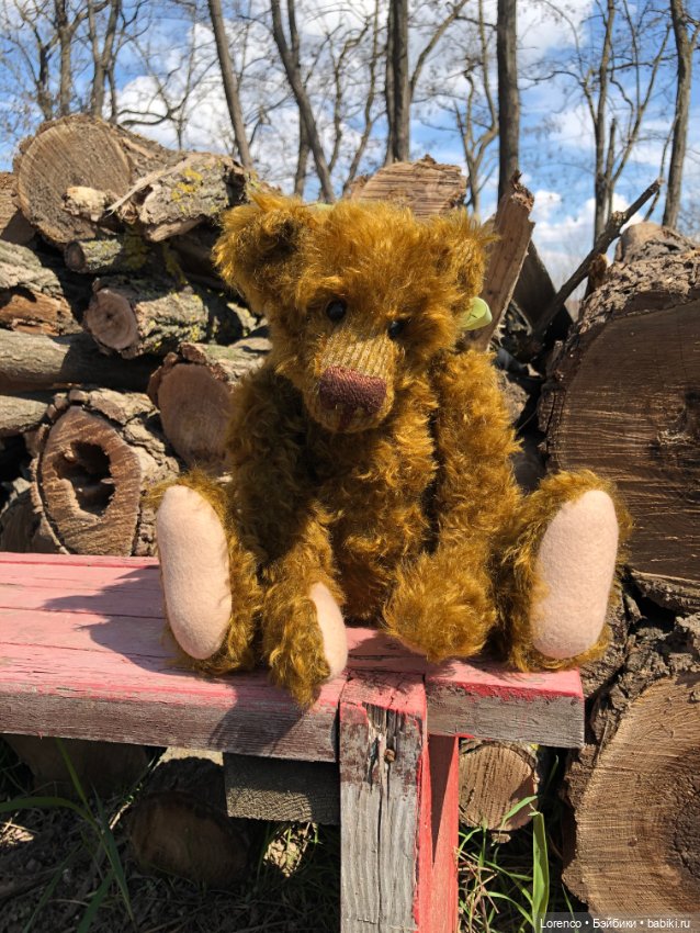 Знакомьтесь, Гюнтер — Домашние фото авторских игрушек: Тедди (фото 5)