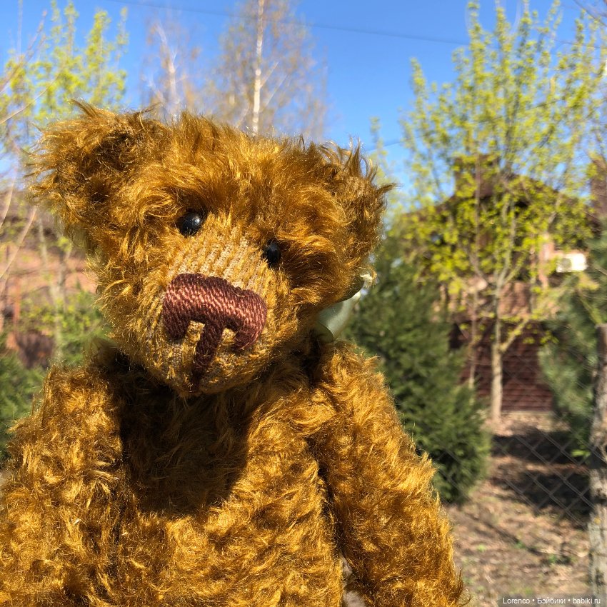 Знакомьтесь, Гюнтер — Домашние фото авторских игрушек: Тедди