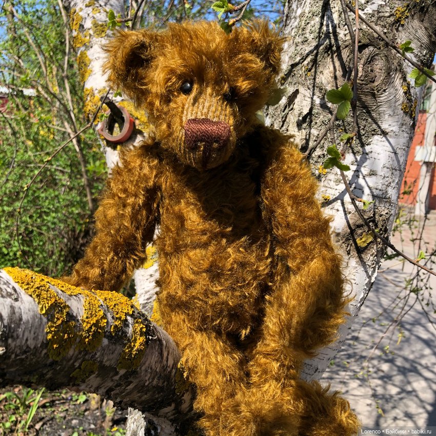 Знакомьтесь, Гюнтер — Домашние фото авторских игрушек: Тедди