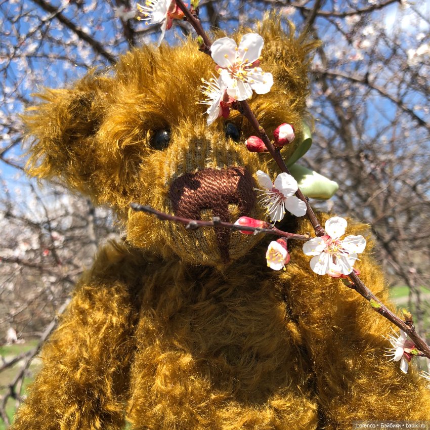 Знакомьтесь, Гюнтер — Домашние фото авторских игрушек: Тедди (фото 10)