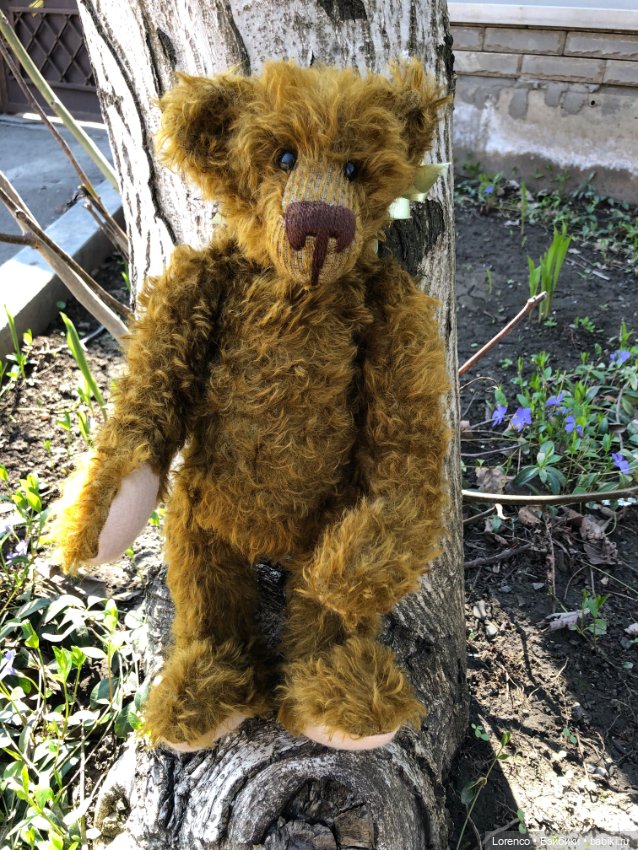 Знакомьтесь, Гюнтер — Домашние фото авторских игрушек: Тедди