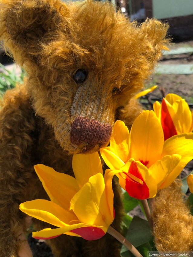 Знакомьтесь, Гюнтер — Домашние фото авторских игрушек: Тедди (фото 8)