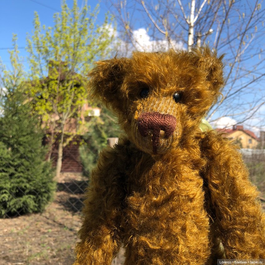 Знакомьтесь, Гюнтер — Домашние фото авторских игрушек: Тедди