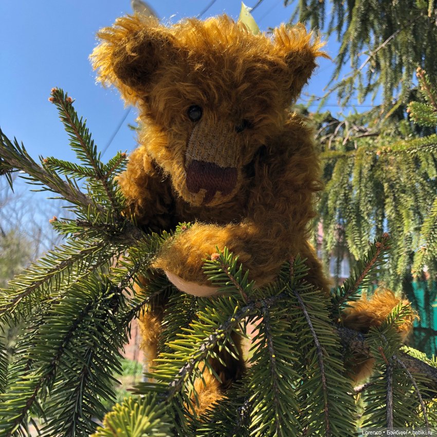 Знакомьтесь, Гюнтер — Домашние фото авторских игрушек: Тедди