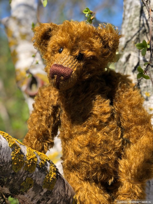 Знакомьтесь, Гюнтер — Домашние фото авторских игрушек: Тедди