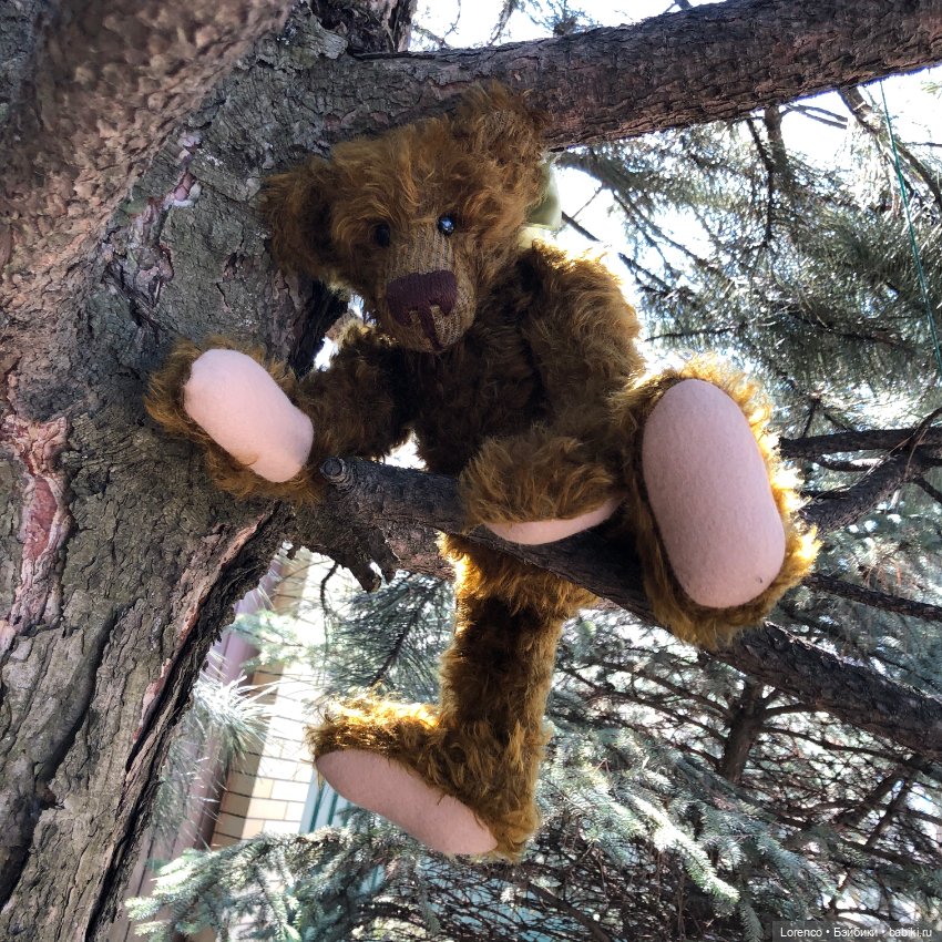 Знакомьтесь, Гюнтер — Домашние фото авторских игрушек: Тедди