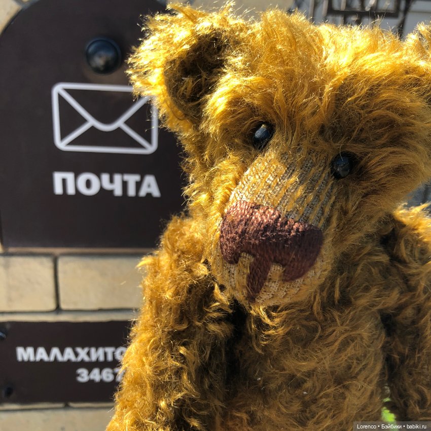 Знакомьтесь, Гюнтер — Домашние фото авторских игрушек: Тедди