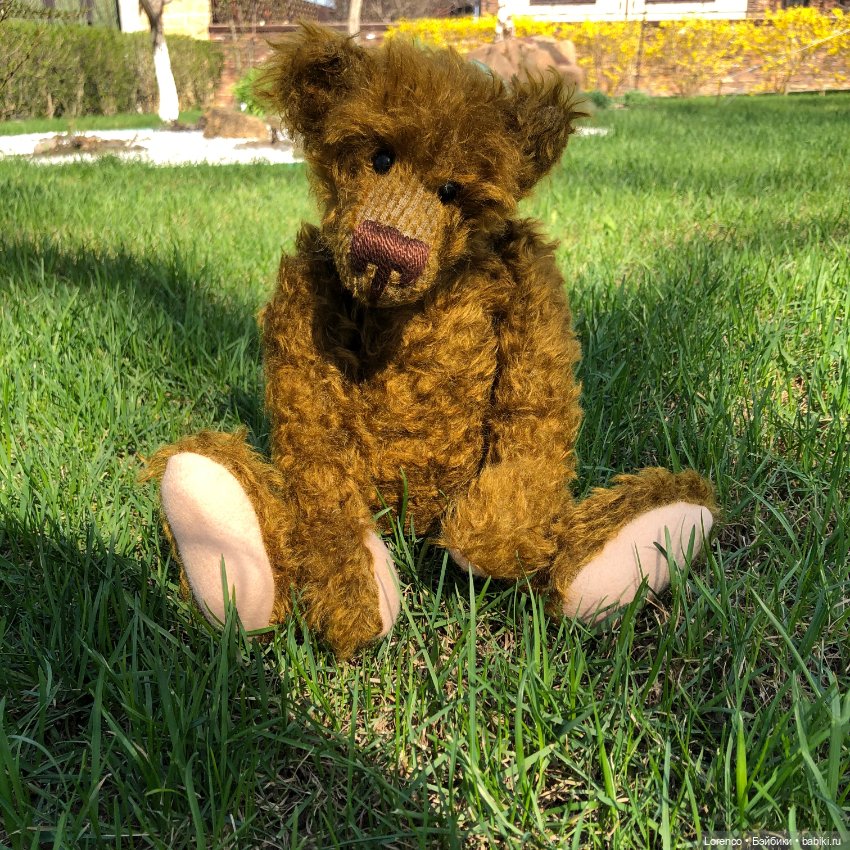 Знакомьтесь, Гюнтер — Домашние фото авторских игрушек: Тедди